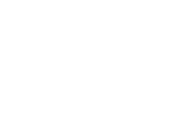 Vesta logo