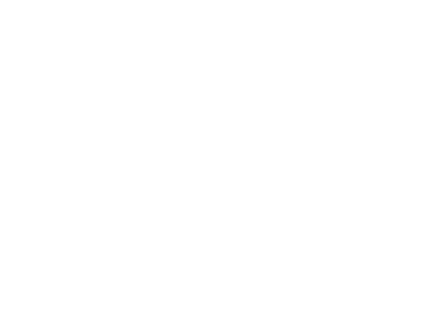 Vesta logo
